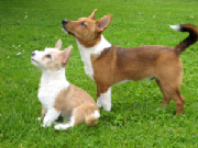 Huggy & Sweetpea