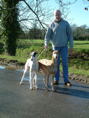 Kevin with our Baldrey Greyhounds